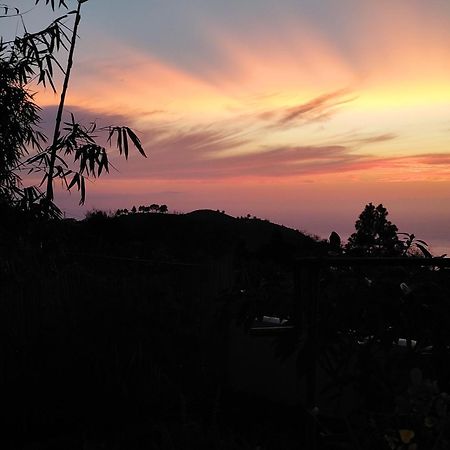 La Casa De La Cartita Villa Puntagorda  Ngoại thất bức ảnh