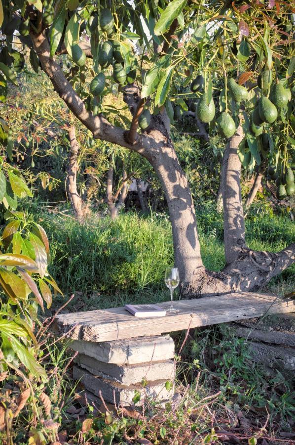 La Casa De La Cartita Villa Puntagorda  Ngoại thất bức ảnh